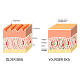 Deep Cleansing Anti-Wrinkle Serum, Facial Skin Smoothing Fine Lines Hydrating Firming And Care Serum - V.I.P Digital Presence
