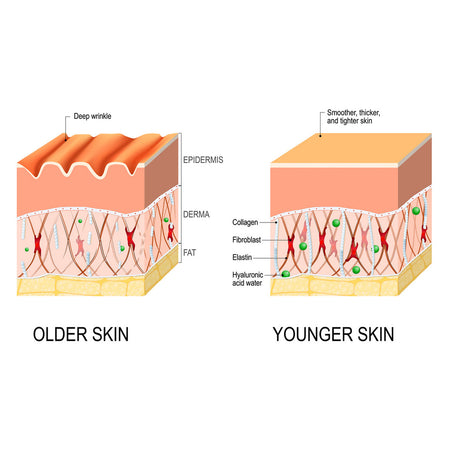 Deep Cleansing Anti-Wrinkle Serum, Facial Skin Smoothing Fine Lines Hydrating Firming And Care Serum - V.I.P Digital Presence