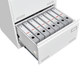 Horizontal file cabinet, 2 drawers, white file cabinet with lock, metal file cabinet with lock, 3 drawers, legal office cabinet - V.I.P Digital Presence
