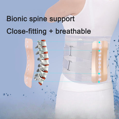 Self heating waist protection waist protection steel plate waist protection breathable waist protection - V.I.P Digital Presence