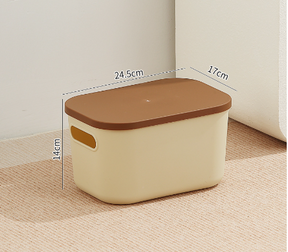 Home desktop cosmetics toys clothing storage box with lid small medicine box - V.I.P Digital Presence