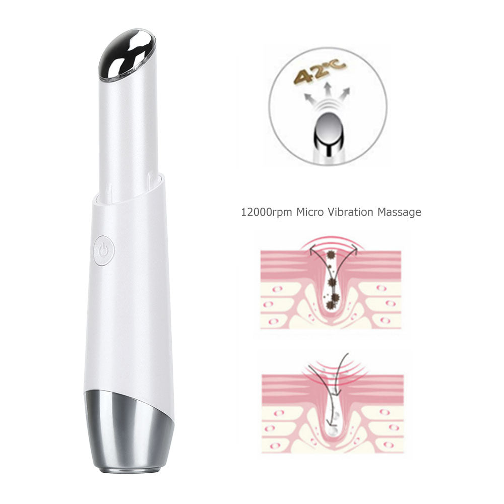 Facial Color Light Importer Heating Vibration Beauty Instrument Ion Eye Importer - V.I.P Digital Presence