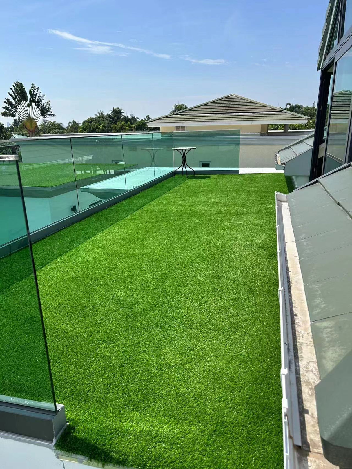 3FTX5FT Outdoor Artificial Grass Runway Blanket, Thick and Realistic Fake Grass Roll Decoration 1.38 "Pile Height - V.I.P Digital Presence