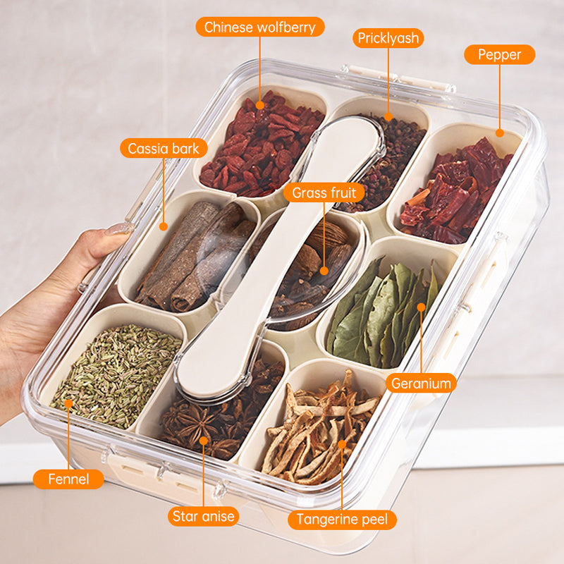 Design Sealed Snackle Storage Box With 9pcs Divider Plastic Divided Veggie Tray With Lid And Handle - V.I.P Digital Presence
