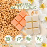 Colorful Eight - scent Scented Wax Cubes Set - V.I.P Digital Presence