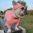 HYGGEPET Pet Clothing Fashion Brand Street Dog Clothing Fadou Teddy Schnauzer Undercoat Hat Set - V.I.P Digital Presence