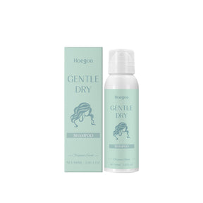 Leave-In Dry Hair Spray Dry Cleaning Spray Oil Control Volumizing Glossy Hair Easily Manage Hair - V.I.P Digital Presence