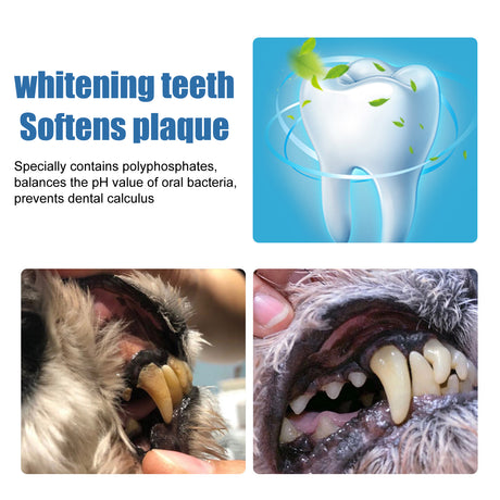 Pet Tartar Remover, Removing Dental Calculus Yellow Teeth Halitosis Cleaning Teeth Mouth Foam Cleaner - V.I.P Digital Presence
