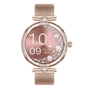 NX17 Pro Smart Watch Fashion Dimanond Ladies Wristwatch Amoled Bluetooth Calling Health Monitoring Women Fitness Smartwatch - V.I.P Digital Presence