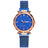 Rose Gold Women Watch Top Brand Luxury Magnetic Starry Sky Lady Wrist Watch Mesh Female Clock For Dropship relogio feminino - V.I.P Digital Presence