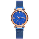 Rose Gold Women Watch Top Brand Luxury Magnetic Starry Sky Lady Wrist Watch Mesh Female Clock For Dropship relogio feminino - V.I.P Digital Presence