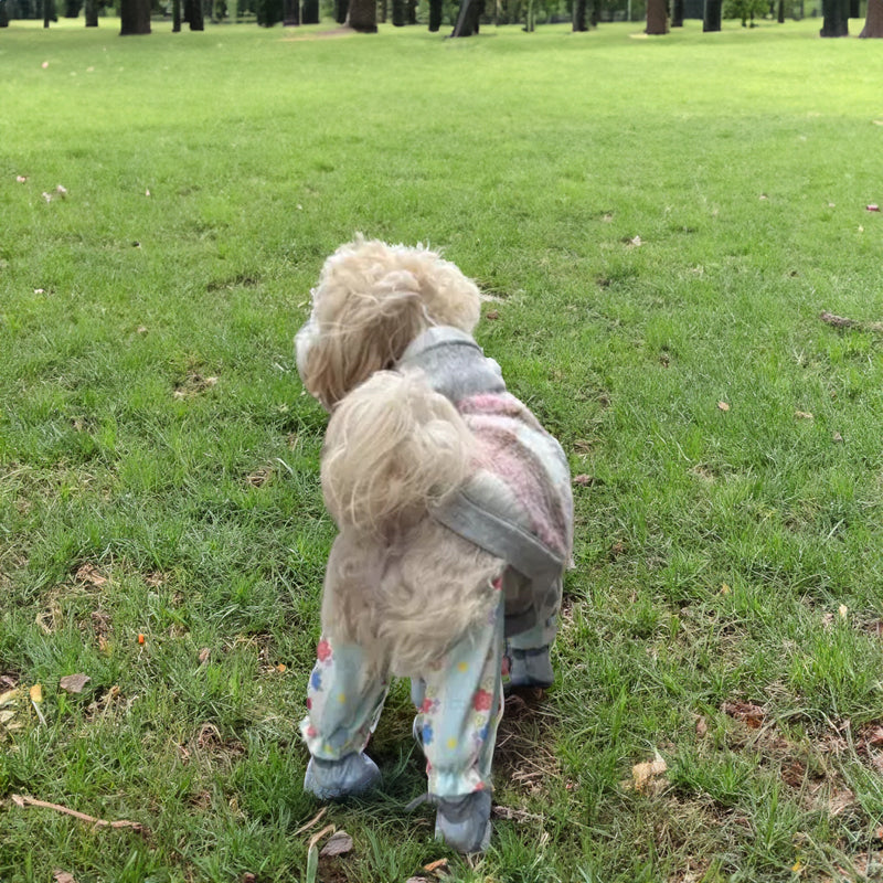 Pet Stroller, Dustproof Pants, Summer Jumpsuit, Leg - Protective Shoes/Trousers, Small Pet Wear - V.I.P Digital Presence