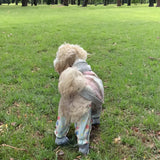 Pet Stroller, Dustproof Pants, Summer Jumpsuit, Leg - Protective Shoes/Trousers, Small Pet Wear - V.I.P Digital Presence