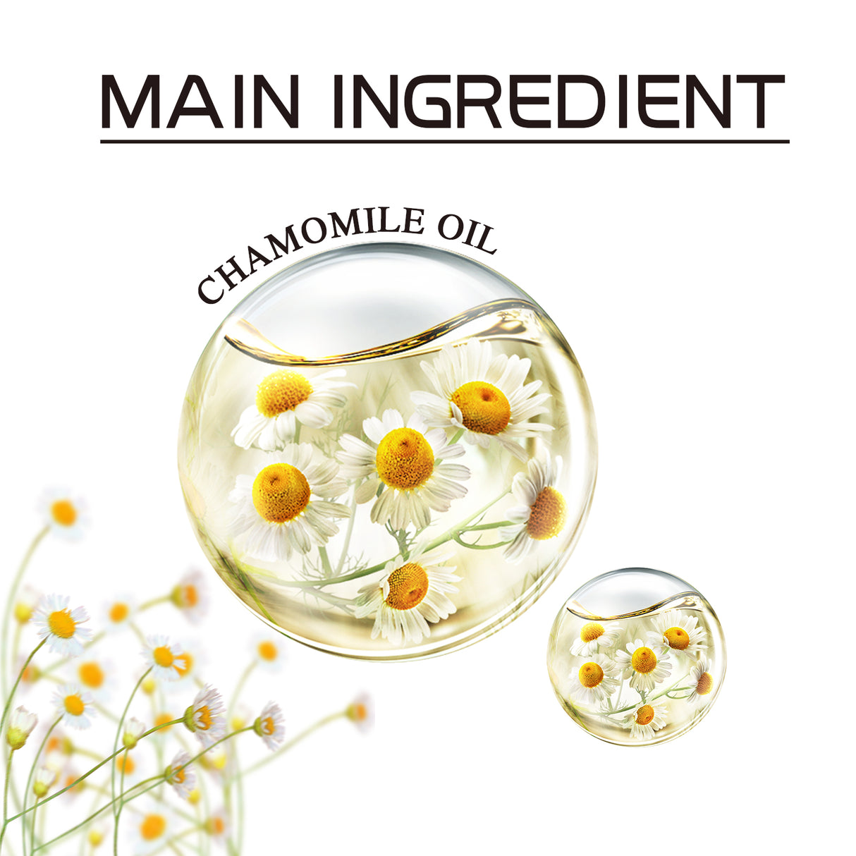 Chamomile Leg Essential Oil Protects Leg Skin And Relieves Leg Discomfort With Daily Massage Essential Oil - V.I.P Digital Presence