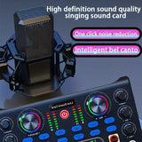 HD X60 Sound Card English Version Professional Audio Mixer for Karaoke Broadcast KTV Singing Live Sound Mixer - V.I.P Digital Presence