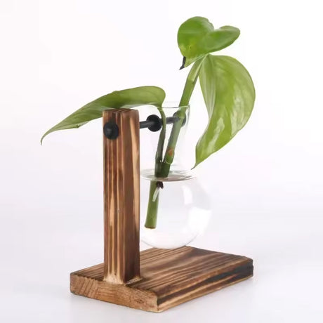 Transparent Bulb Vase with Wood Stand. For hydroponics. Great for coffee shops & room decor. - V.I.P Digital Presence