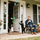 FlyChase Cat Toy - V.I.P Digital Presence