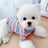 Rainbow Undercoat Dog Clothes Pet Clothes Cat Bears VIP Pomeranian Schnauzer Small Dog Clothes - V.I.P Digital Presence