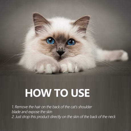 Pet Anti-Flea Tick Agent, External Deworming Skin Cleaning Tick Drops For Cats And Dogs - V.I.P Digital Presence