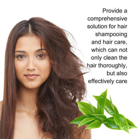 Shampoo And Conditioner Set - V.I.P Digital Presence