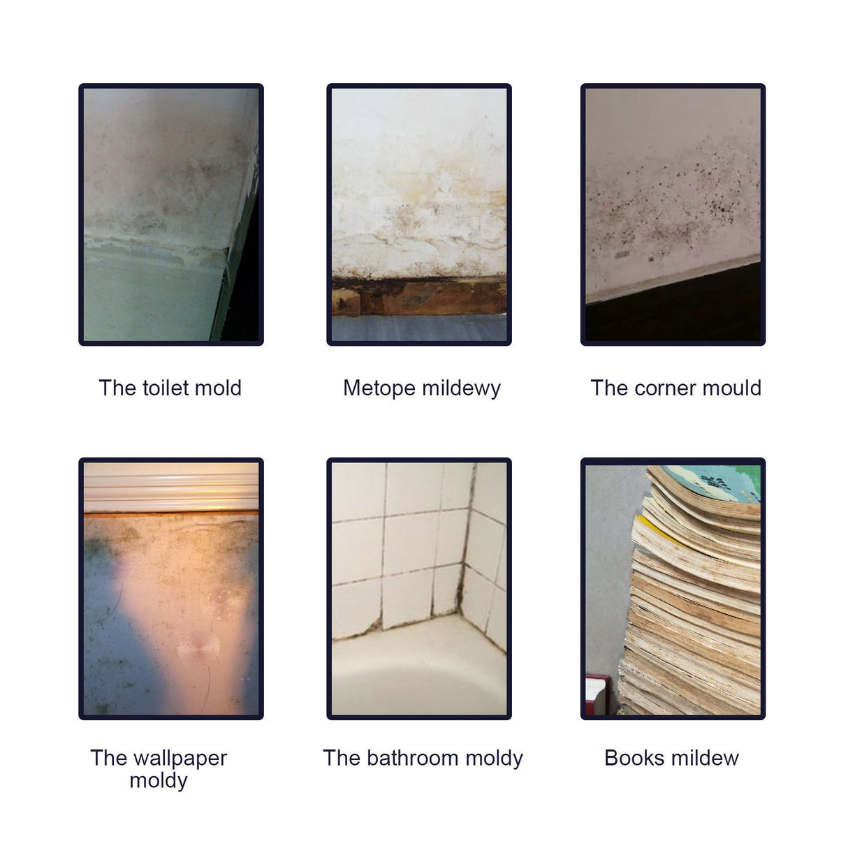 JAYSUING Mildew Removal Gel, Household Mildew Remover To Remove Mildew Stains Bathroom Kitchen White Wall Mildew Cleaner - V.I.P Digital Presence