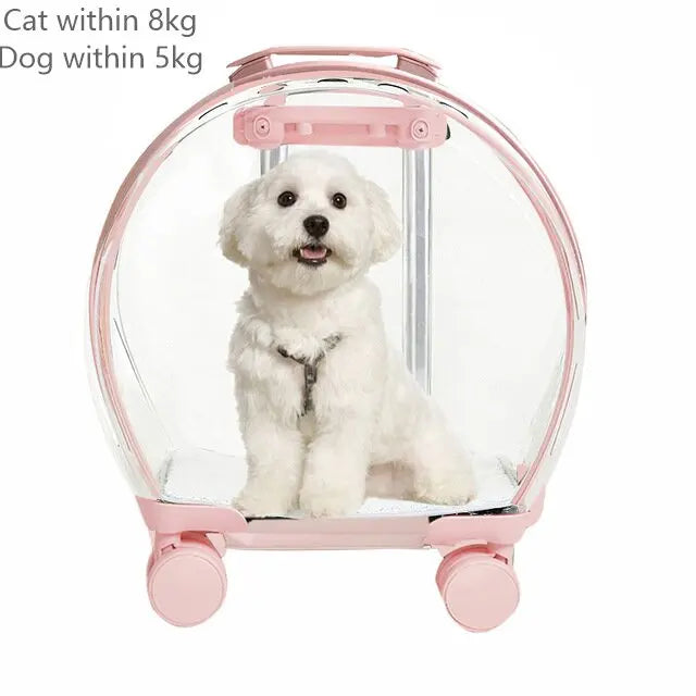 Rolling Pet Travel Trolley with Wheel, Transparent Capsule, Pink, Green, Puppies, Dogs, Cat Carriers Bag, 5-20Kg - V.I.P Digital Presence