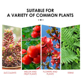 Plant Growth Nutrition Sustained-Release Tablet, Fruit And Vegetable Plant Pot Root Growth Universal Nutrition Tablet - V.I.P Digital Presence