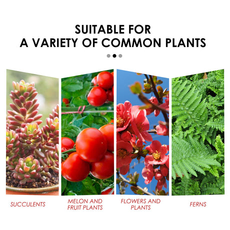 Plant Growth Nutrition Sustained-Release Tablet, Fruit And Vegetable Plant Pot Root Growth Universal Nutrition Tablet - V.I.P Digital Presence