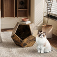 25.98'' Shaped Modern Pet Furniture Cat Kennel Side Table MDF Multi-Purpose Furniture Antique Wood Color - V.I.P Digital Presence