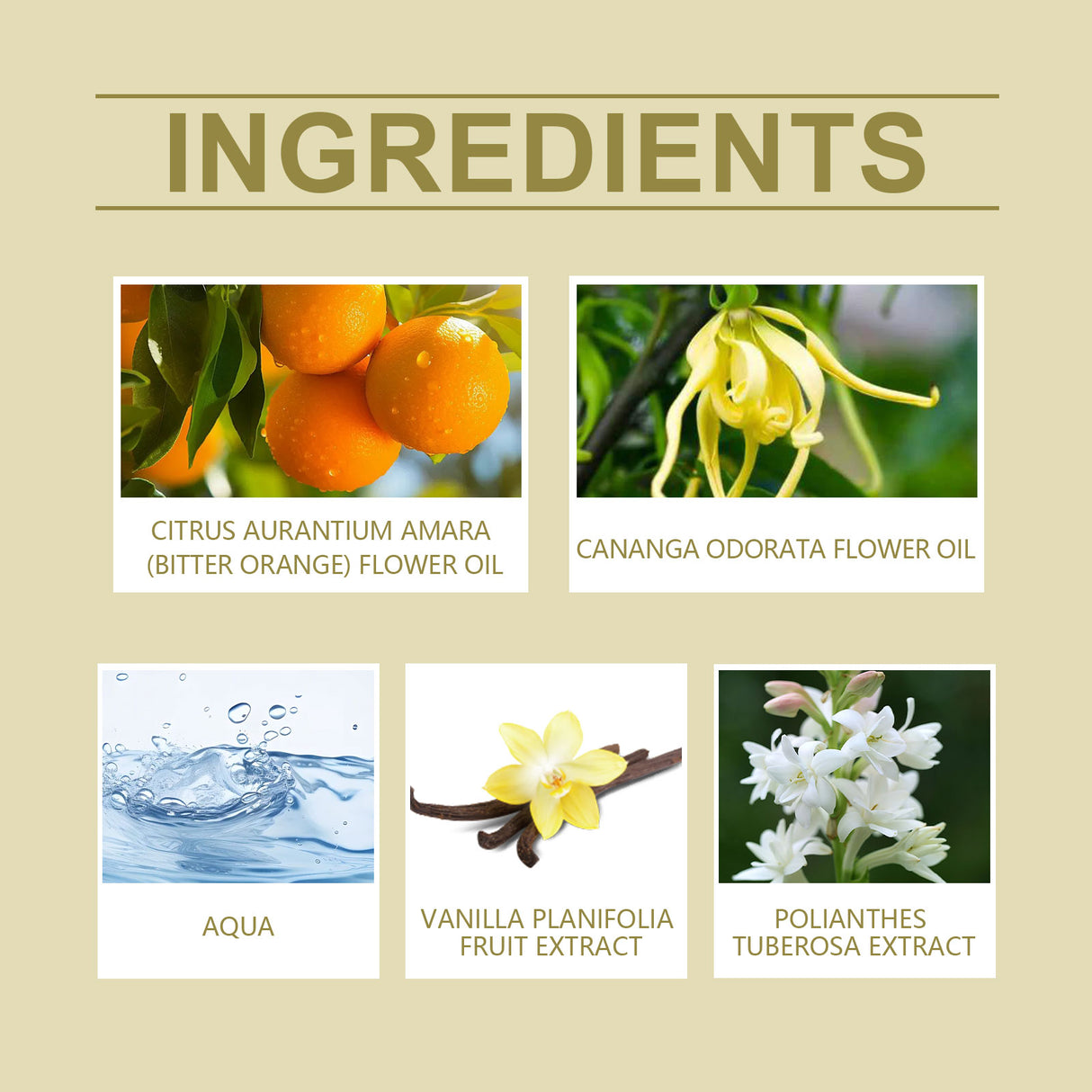 Rotated-Tuberose Perfume Spray, Women Keep Fragrance Light And Fresh Lasting Fragrance Dating Charm Perfume - V.I.P Digital Presence