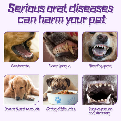 Pet Toothbrush For Dogs, Pet Oral Cleaning Dental Stains Dental Health Care - V.I.P Digital Presence