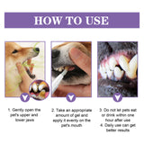 Pet Oral Repair Gel, Deep Cleaning Dog And Cat Tooth Stains Oral Cleaning Care - V.I.P Digital Presence