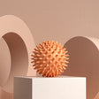 Durable sport massage ball. Spiky design for myofascial release, deep - tissue work, trigger points, muscle recovery & pain reli - V.I.P Digital Presence