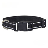 Nylon Dog Collar and Leash Set Pet Collars Leash for Small Medium Large Dogs Dog Accessories for Small Dogs - V.I.P Digital Presence