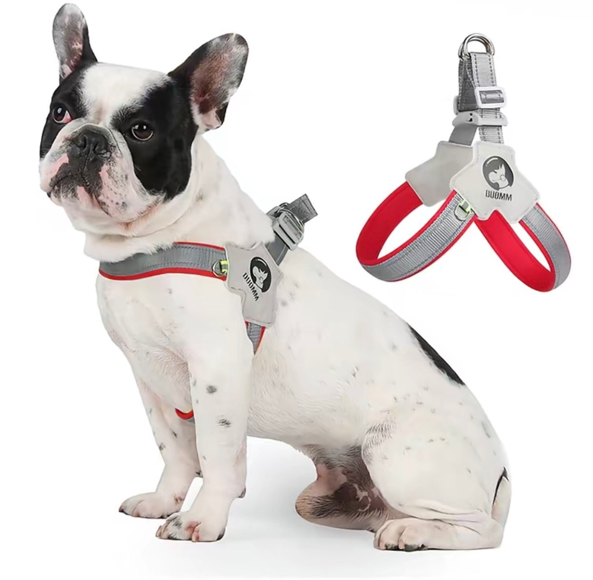 PawFit Dog Harness Leash