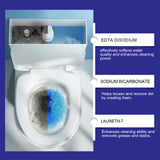 Toilet Foam Cleaner Toilet Odors Clean Dirt Urine Stains Clean Home Environment - V.I.P Digital Presence