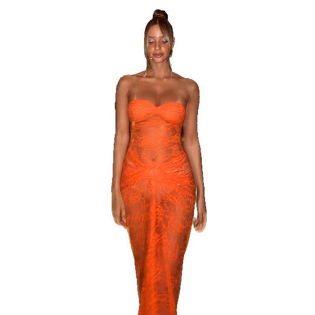 Sexy Halter Lace Sheer Fitted Bodycon Dress - V.I.P Digital Presence