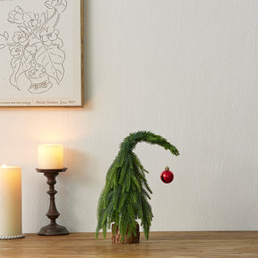 Crooked Neck Christmas Leaves Nobelson Home Small Desktop Ornament - V.I.P Digital Presence