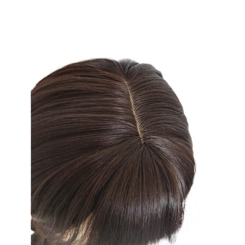 Addams Family Animated Wig Black Double Ponytail Braid Wig - V.I.P Digital Presence