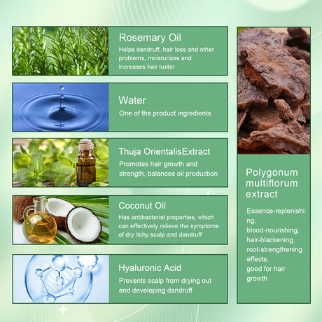 Rosemary Dense Hair Spray Hydrates Roots For Increased Elasticity Restoring Shine Anti-Set Hair Spray - V.I.P Digital Presence