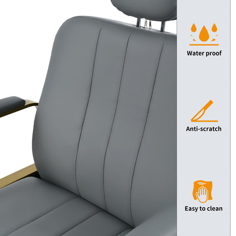 Advanced reclining hair salon chair with heavy-duty hydraulic pump, 360 ° rotation, maximum weight capacity of 400 pounds, Gray - V.I.P Digital Presence