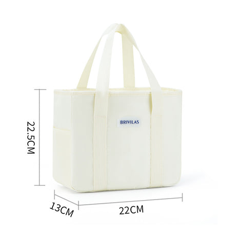 Simple style fresh ice pack commuter insulation lunch box bag lunch lunch bag - V.I.P Digital Presence