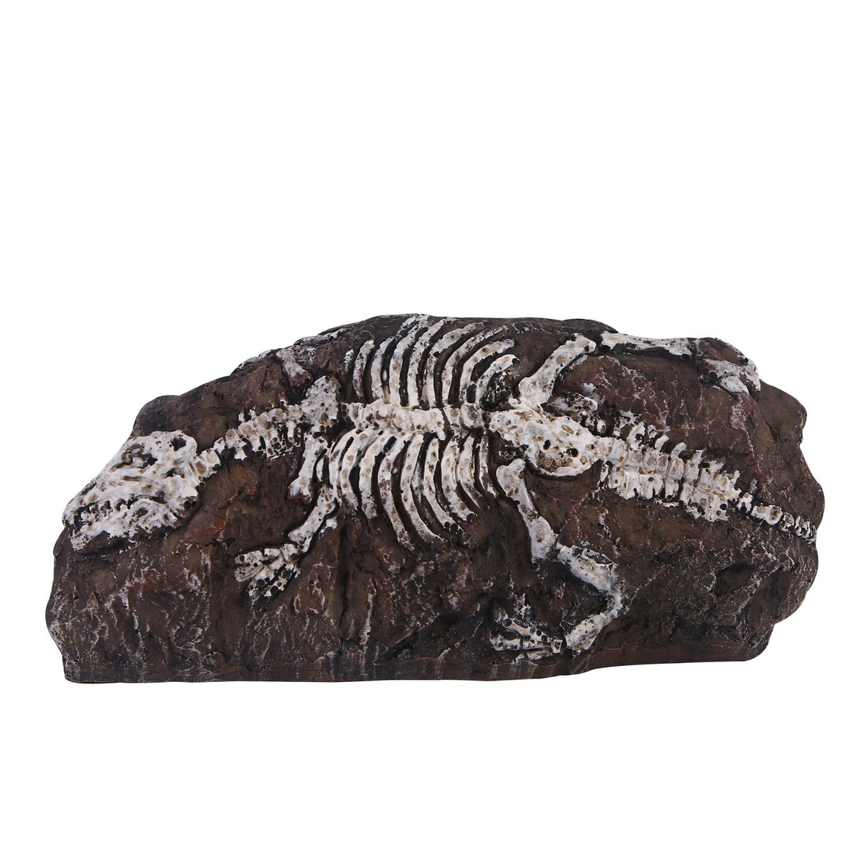 Fossil aquarium fish tank resin ornaments - V.I.P Digital Presence