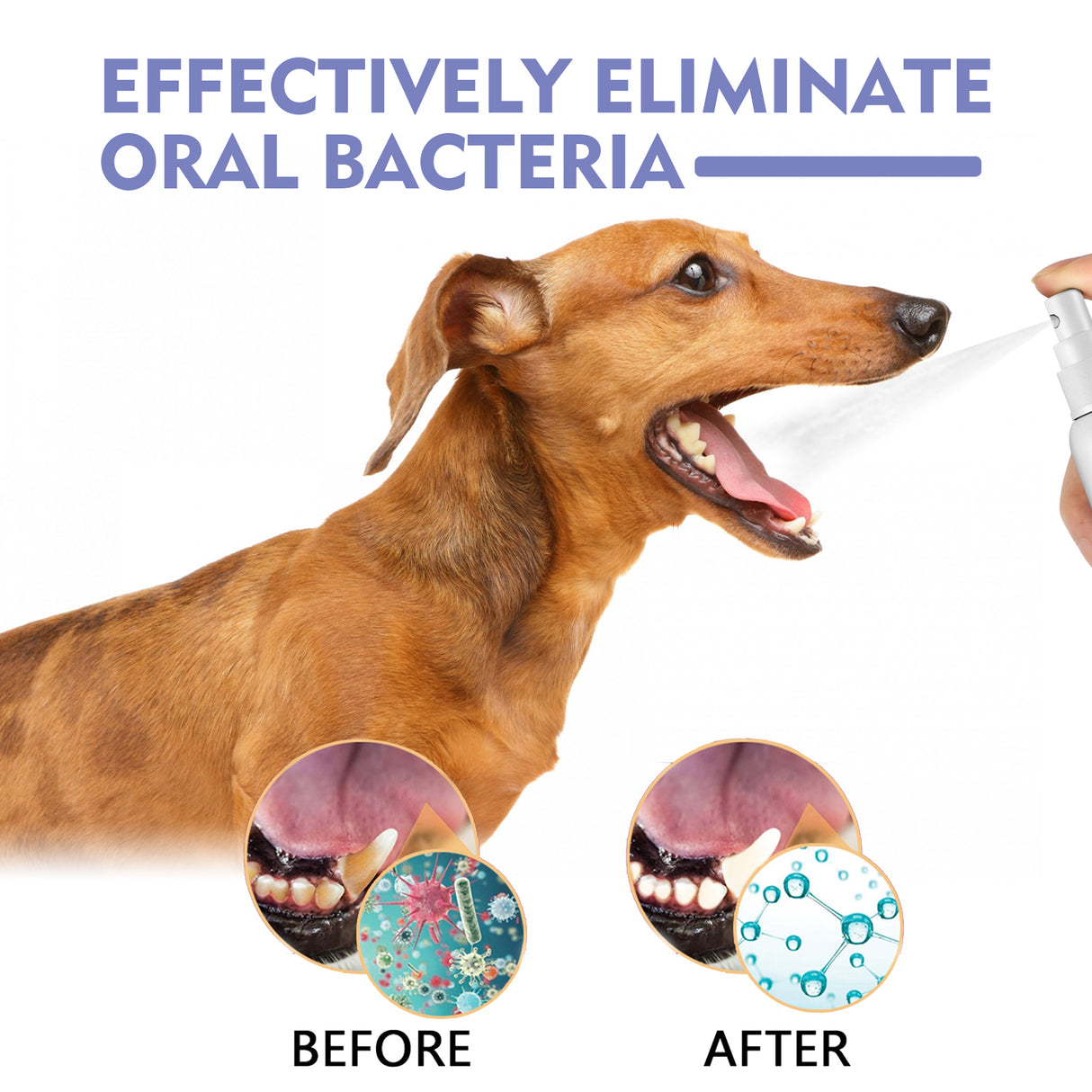 Tooth Cleaning Spray For Cats And Dogs, Remove Tooth Stains Fresh Breath Pets Oral Care Spray - V.I.P Digital Presence