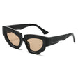 New Personalized Fashion Cat Eye Sunglasses Instagram Trendy Irregular Water Chestnut Hip Simple Leisure Street Photography Sunglasses - V.I.P Digital Presence