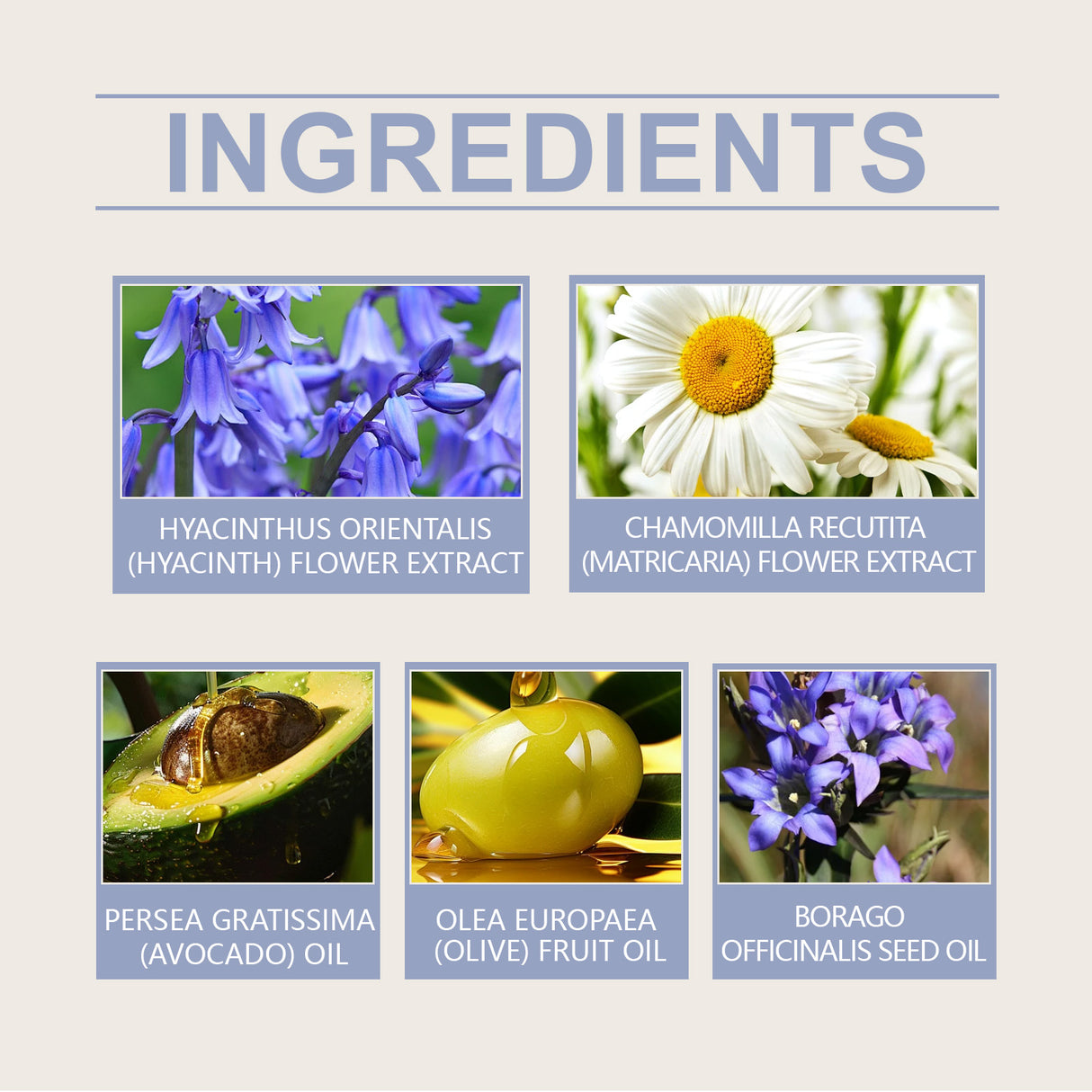 Aceite esencial calmante Blue Bell, aceite hidratante calmante para el cuidado de la piel, aceite nutritivo para el rostro.