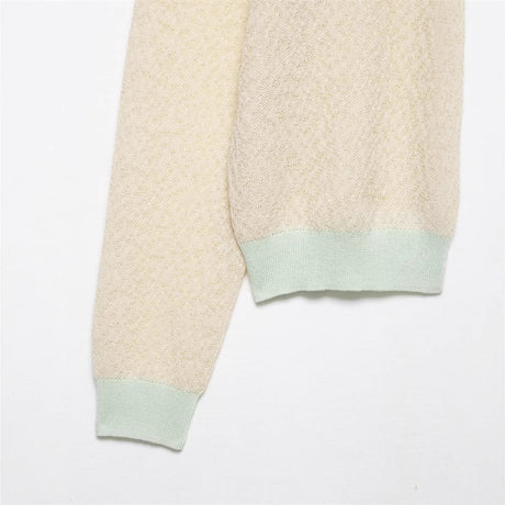 Spring New Style Round Neck Solid Color Loose Pullover Unique Charm Knitwear - V.I.P Digital Presence