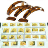 5PCS Bumpits Big Happie Hair Volumizing - V.I.P Digital Presence