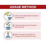 Plant Growth Nutrition Sustained-Release Tablet, Fruit And Vegetable Plant Pot Root Growth Universal Nutrition Tablet - V.I.P Digital Presence
