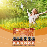 Autumn Aromatherapy Essential Oil, Long-Lasting Warm Fragrance Soft Fragrance Indoor Warm Atmosphere Aromatherapy Essential Oil - V.I.P Digital Presence